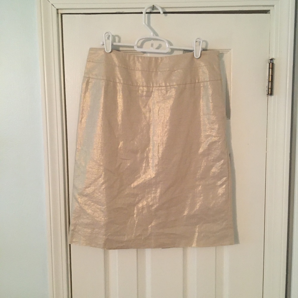 Banana Republic Skirt